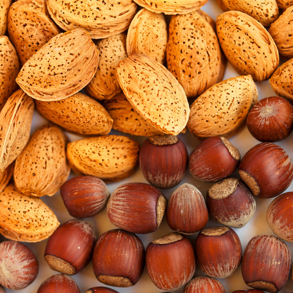 Almonds and hazelnuts